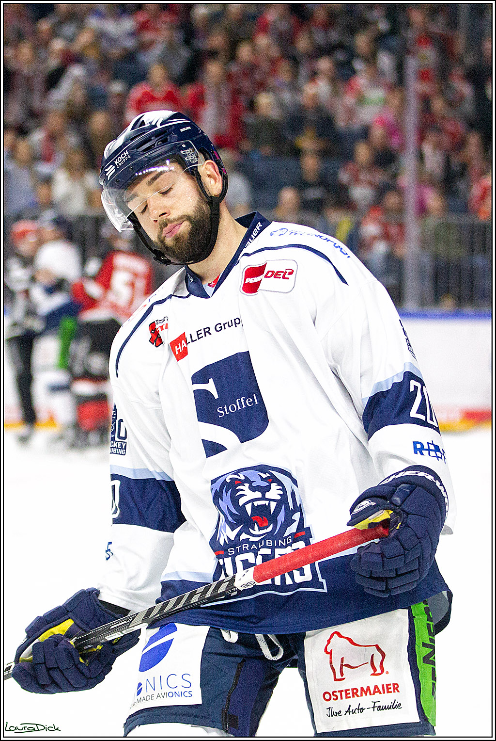 PENNY DEL;  Koelner Haie - Straubing Tigers; Koeln, 15.10.2021